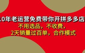 拼多多 最新合作开店日收4000+两天销量过百单,无学费、老运营代操作、...-网创财富岛