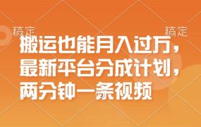 搬运也能月入过万,最新平台分成计划,一万播放一百米,一分钟一个作品-网创财富岛