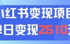 利用小红书卖资料单日引流150人当日变现2610元小白可实操(教程+资料)-网创财富岛