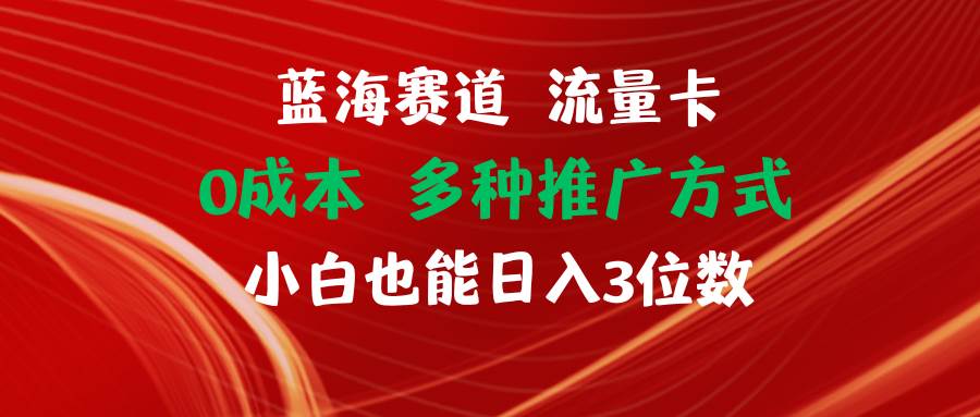 蓝海赛道 流量卡 0成本 小白也能日入三位数-网创财富岛