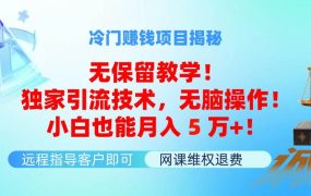 冷门赚钱项目无保留教学!独家引流技术,无脑操作!小白也能月入5万+!-网创财富岛