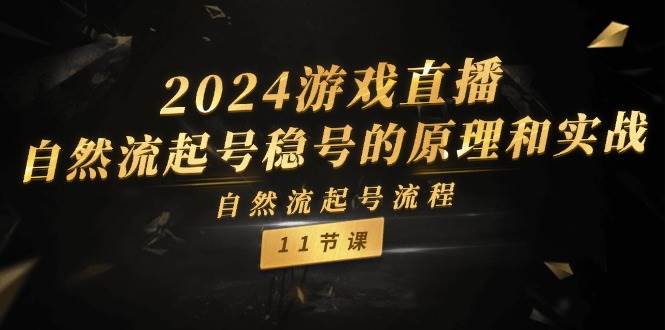 2024游戏直播-自然流起号稳号的原理和实战，自然流起号流程（11节）-网创财富岛