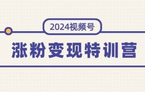 2024视频号-涨粉变现特训营:一站式打造稳定视频号涨粉变现模式(10节)-网创财富岛