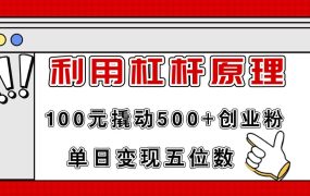 利用杠杆100元撬动500+创业粉,单日变现5位数-网创财富岛