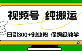 视频号纯搬运日引流300+创业粉,日入4000+-网创财富岛