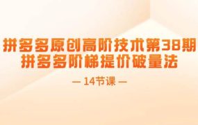 拼多多原创高阶技术第38期,拼多多阶梯提价破量法(14节课)-网创财富岛