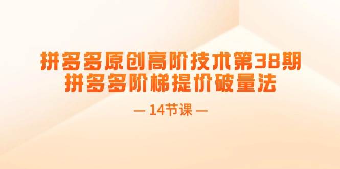 拼多多原创高阶技术第38期，拼多多阶梯提价破量法（14节课）-网创财富岛