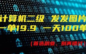 计算机二级,一单19.9 一天能出100单,每天只需发发图片(附518G资料)-网创财富岛