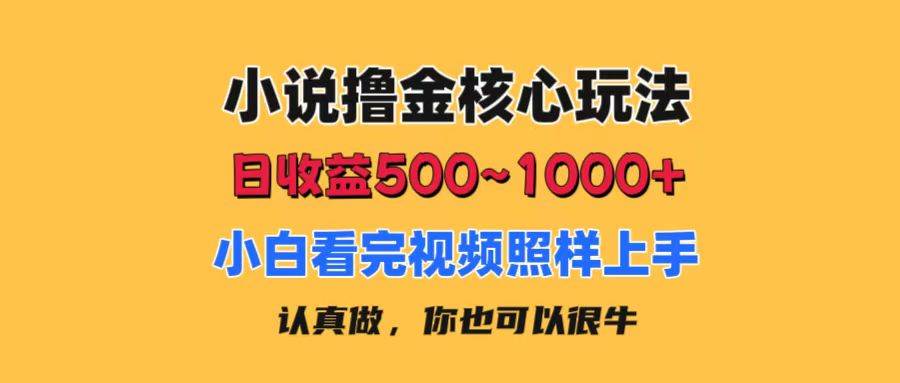 小说撸金核心玩法，日收益500-1000+，小白看完照样上手，0成本有手就行-网创财富岛