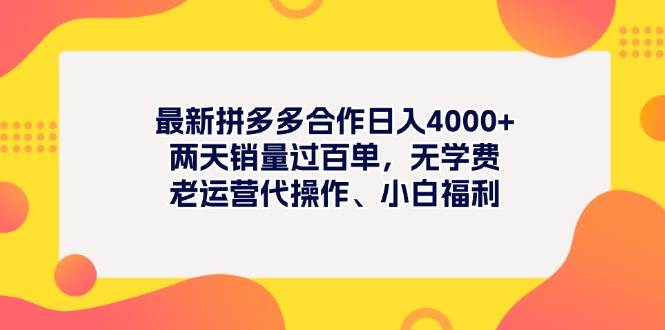 最新拼多多项目日入4000+两天销量过百单，无学费、老运营代操作、小白福利-网创财富岛