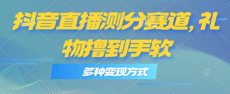抖音直播测分赛道，多种变现方式，轻松日入1000+-网创财富岛