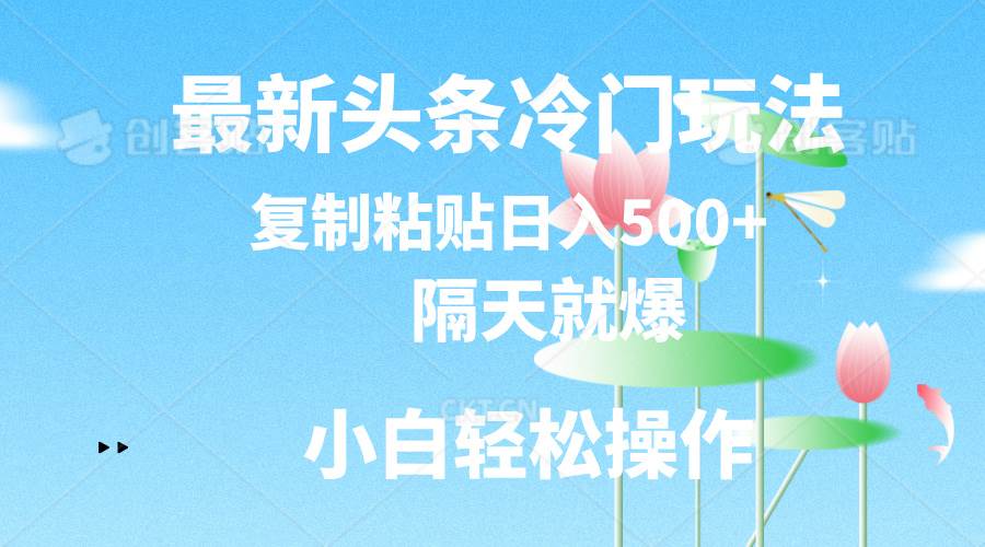 最新头条冷门玩法，隔天就爆，复制粘贴日入500+-网创财富岛