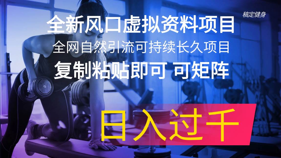 全新风口虚拟资料项目 全网自然引流可持续长久项目 复制粘贴即可可矩阵…-网创财富岛