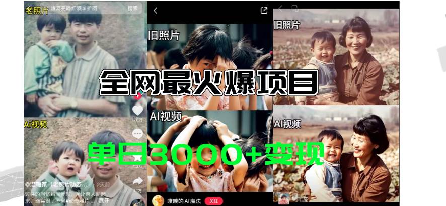 全网爆火的AI让老照片动起来教程，蹭热点日赚3000+，内含免费工具一键…-网创财富岛