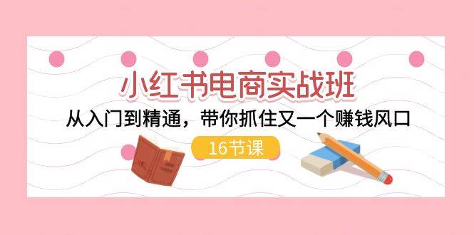 小红书电商实战班，从入门到精通，带你抓住又一个赚钱风口（16节）-网创财富岛