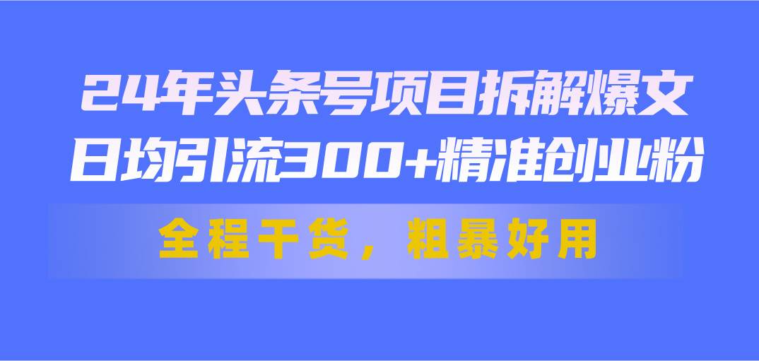 24年头条号项目拆解爆文，日均引流300+精准创业粉，全程干货，粗暴好用-网创财富岛