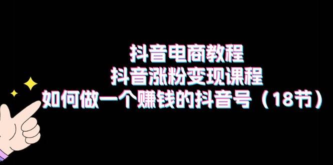 抖音电商教程：抖音涨粉变现课程：如何做一个赚钱的抖音号（18节）-网创财富岛
