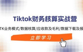 Tiktok财务核算实战营:TK业务模式/数据核算/应收款及毛利/数据下载及报表-网创财富岛