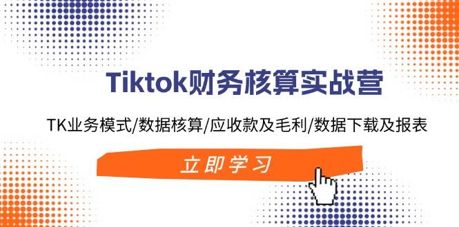 Tiktok财务核算实战营：TK业务模式/数据核算/应收款及毛利/数据下载及报表-网创财富岛