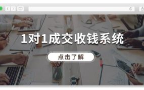1对1成交 收钱系统,十年专注于引流和成交,全网130万+粉丝-网创财富岛