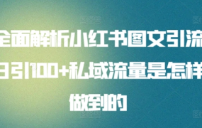 全面解析小红书图文引流日引100私域流量是怎样做到的-网创财富岛