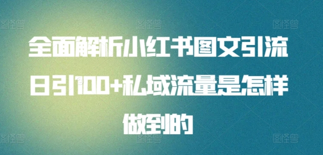 全面解析小红书图文引流日引100私域流量是怎样做到的-网创财富岛