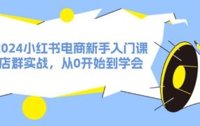 2024小红书电商新手入门课,店群实战,从0开始到学会(31节)-网创财富岛