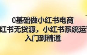 0基础做小红书电商,小红书无货源,小红书系统运营,入门到精通 (70节)-网创财富岛