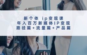 新个体 ip变现课,年入百万新媒体IP变现,路径篇+流量篇+产品篇-网创财富岛