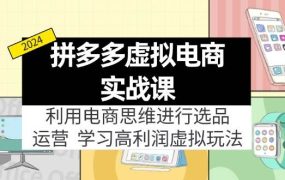 拼多多虚拟电商实战课:利用电商思维进行选品+运营,学习高利润虚拟玩法-网创财富岛