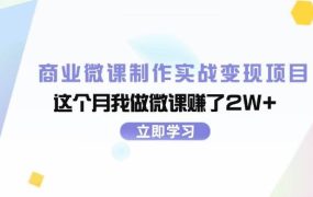商业微课制作实战变现项目,这个月我做微课赚了2W+-网创财富岛