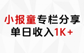 小报童专栏分享,当日收入1K+-网创财富岛
