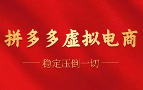 拼多多虚拟电商,单人操作10家店,单店日盈利100+-网创财富岛