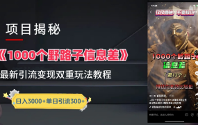 抖音一千个野路子信息差最新玩法教程-变现+引流的玩法具体拆解-网创财富岛