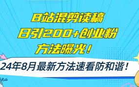 B站混剪读稿日引200+创业粉方法4.0曝光,24年8月最新方法Ai一键操作 速...-网创财富岛
