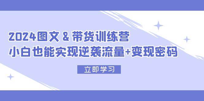 2024 图文+带货训练营，小白也能实现逆袭流量+变现密码-网创财富岛