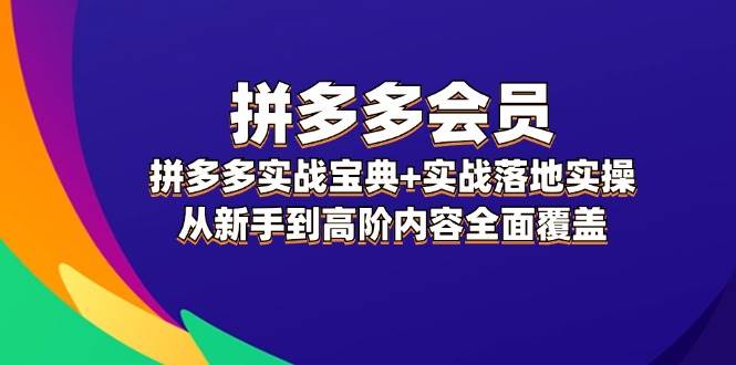 拼多多 会员，拼多多实战宝典+实战落地实操，从新手到高阶内容全面覆盖-网创财富岛