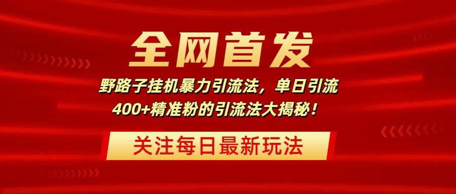 全网首发，野路子挂机暴力引流法，单日引流400+精准粉的引流法大揭秘！-网创财富岛