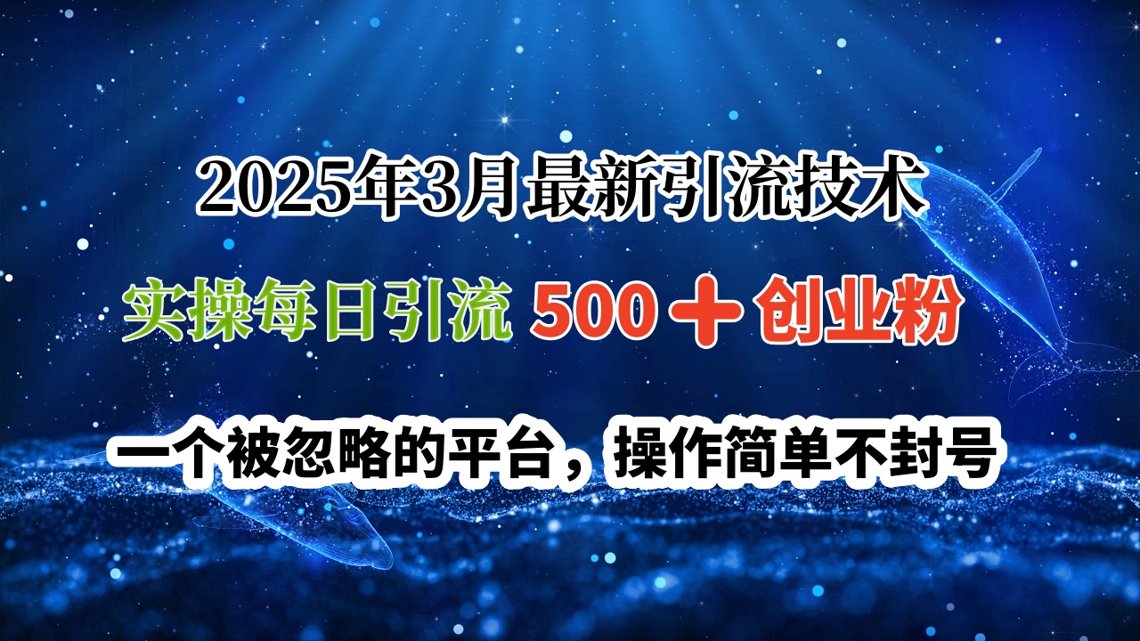2025年3月最新引流技术，实操每日引流500➕创业粉，一个被忽略的平台，操作简单不封号-网创财富岛