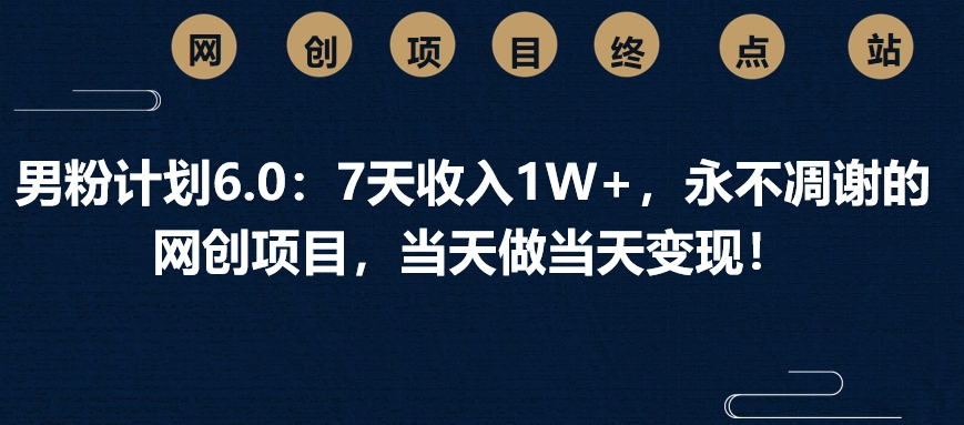 男粉计划6.0：7天收入1W+，永不凋谢的网创项目，当天做当天变现！-网创财富岛