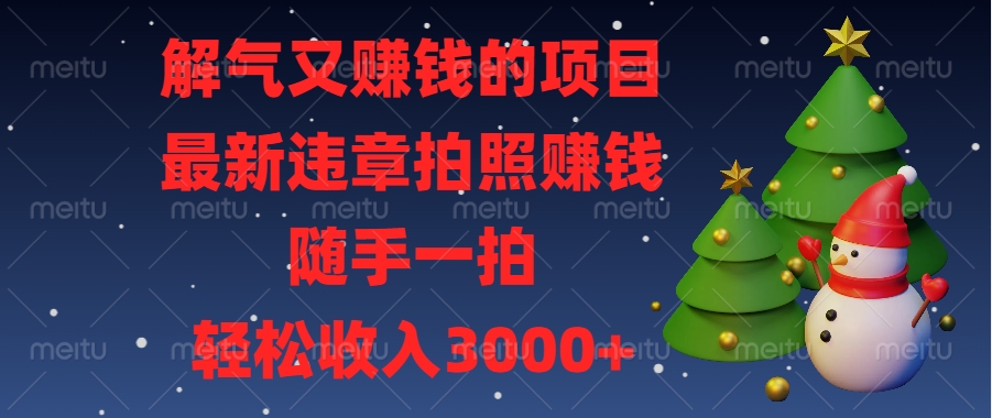 解气又赚钱的项目，最新违章拍照赚钱，随手一拍，轻松收入3000+-网创财富岛