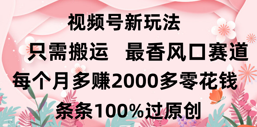 日入2000+，条条100%过原创，视频号最香风口赛道，小白轻松上手-网创财富岛