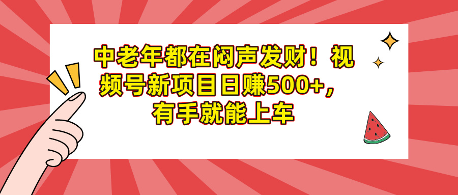 中老年都在闷声发财！视频号新项目日赚500+，有手就能上车-网创财富岛