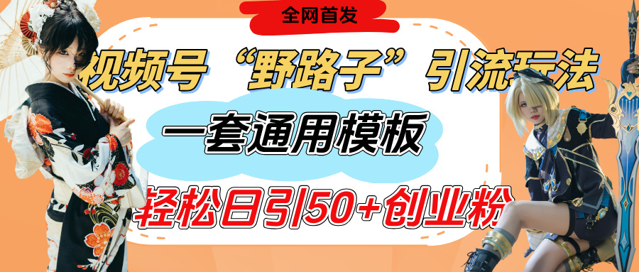 视频号“野路子”玩法，评论区疯狂截流，一套模板单日单号引流50+创业粉-网创财富岛