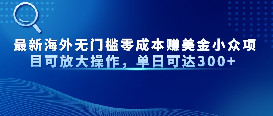 最新海外无门槛美金小众项目可放大操作，单日可达300+-网创财富岛