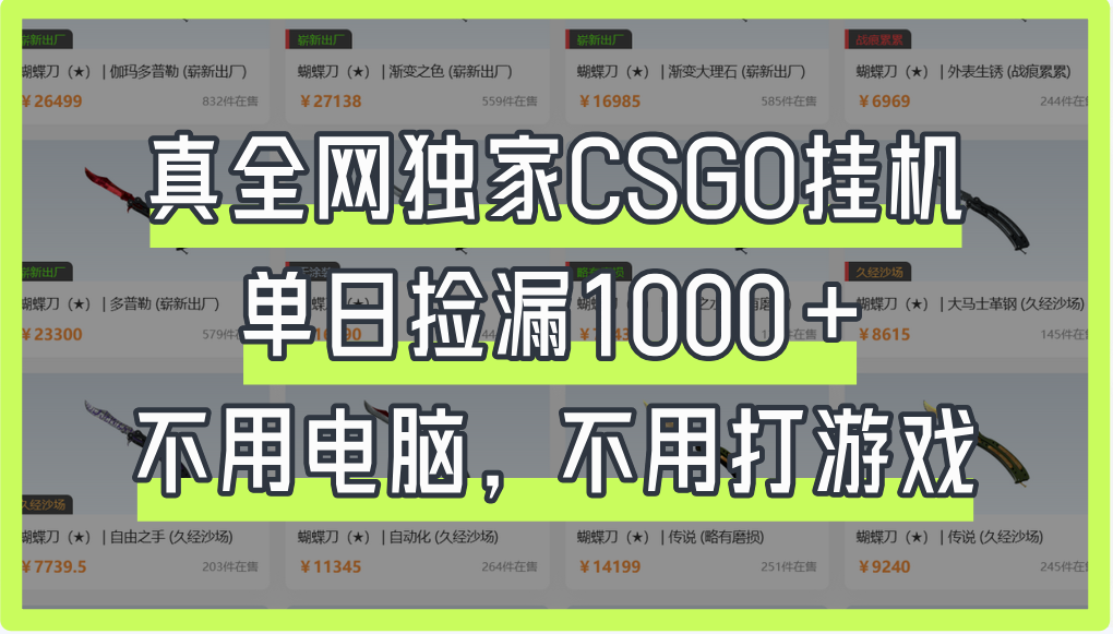 真全网独家CSGO挂机，单日捡漏1000+-网创财富岛
