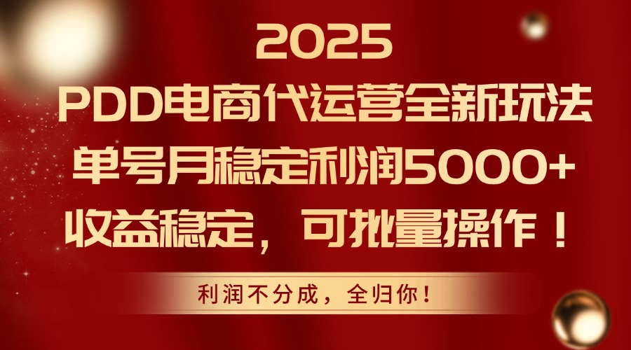 2025 PDD电商代运营全新玩法，单号月稳定利润5000+，收益稳定，可批量操作！-网创财富岛
