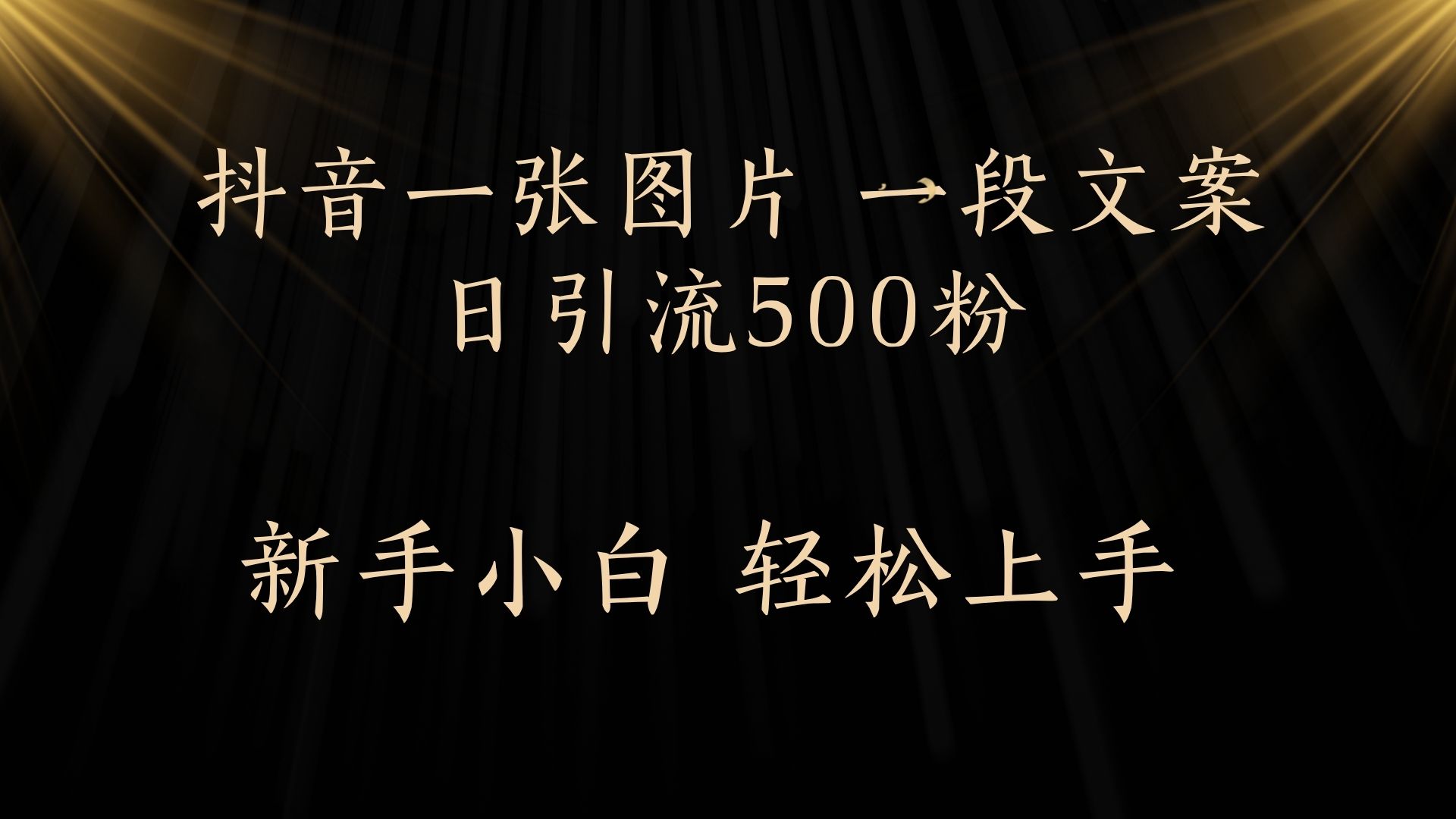 每天2分钟，抖音一张图片 一段文案日引流500粉-网创财富岛