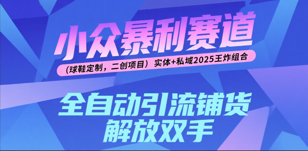 楠—小众暴利赛道（球鞋定制，二创项目）实体+私域2025王炸组合-网创财富岛