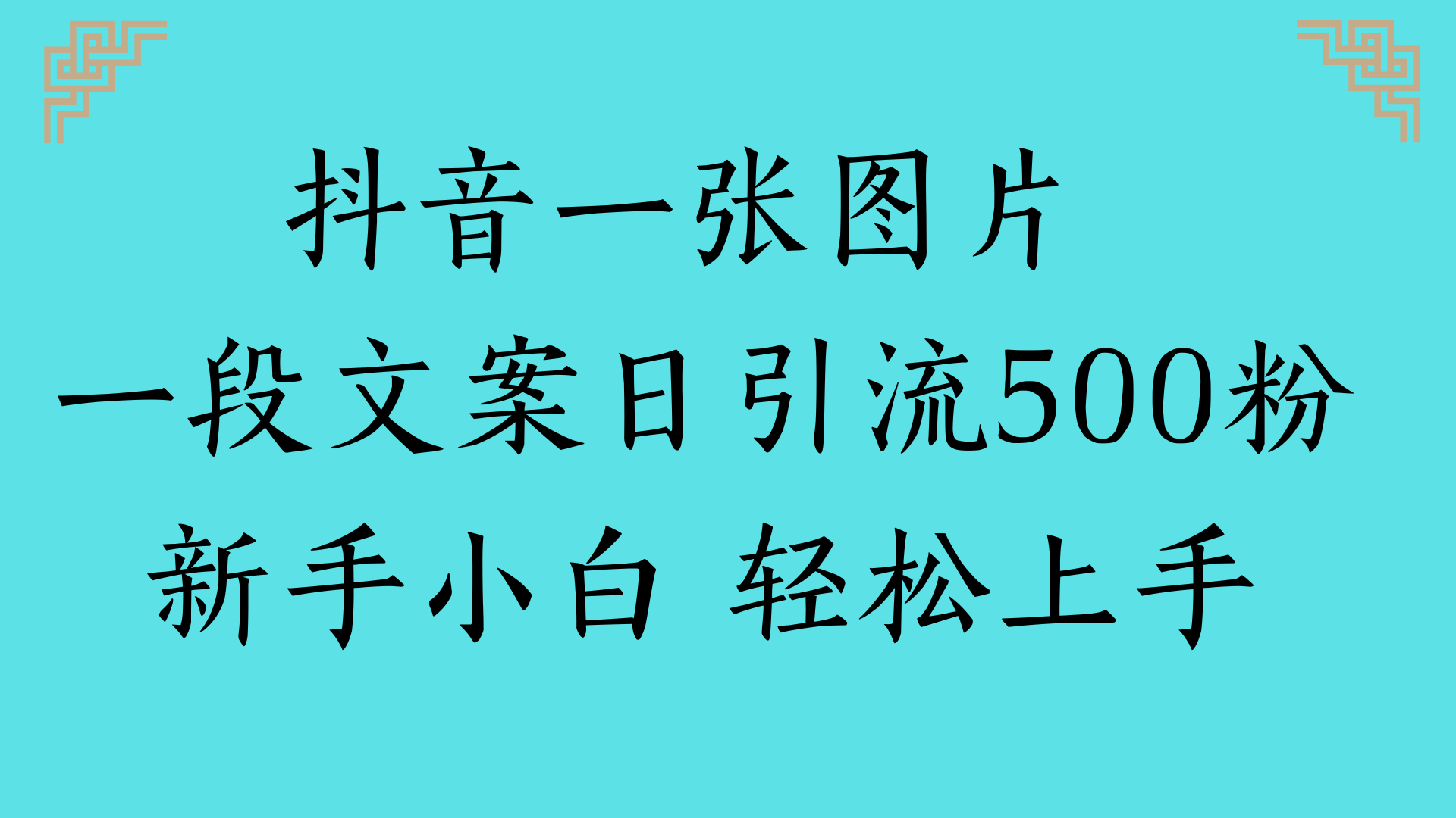 抖音一张图片 一段文案日引流500粉新手小白 轻松上手-网创财富岛